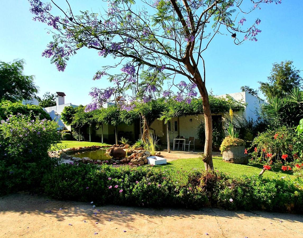 Casa Do Alto Bed and Breakfast Vilamoura Exteriör bild